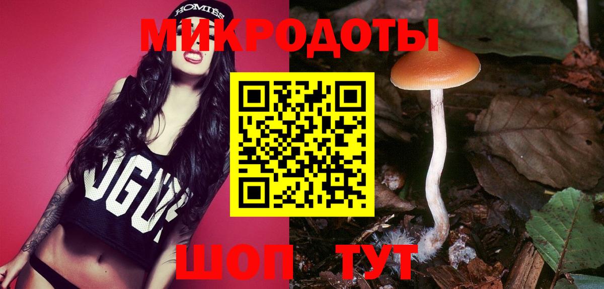 Дагестанские Огни  Псилоцибиновые грибы Psilocybine cubensis  Вход с VPN 